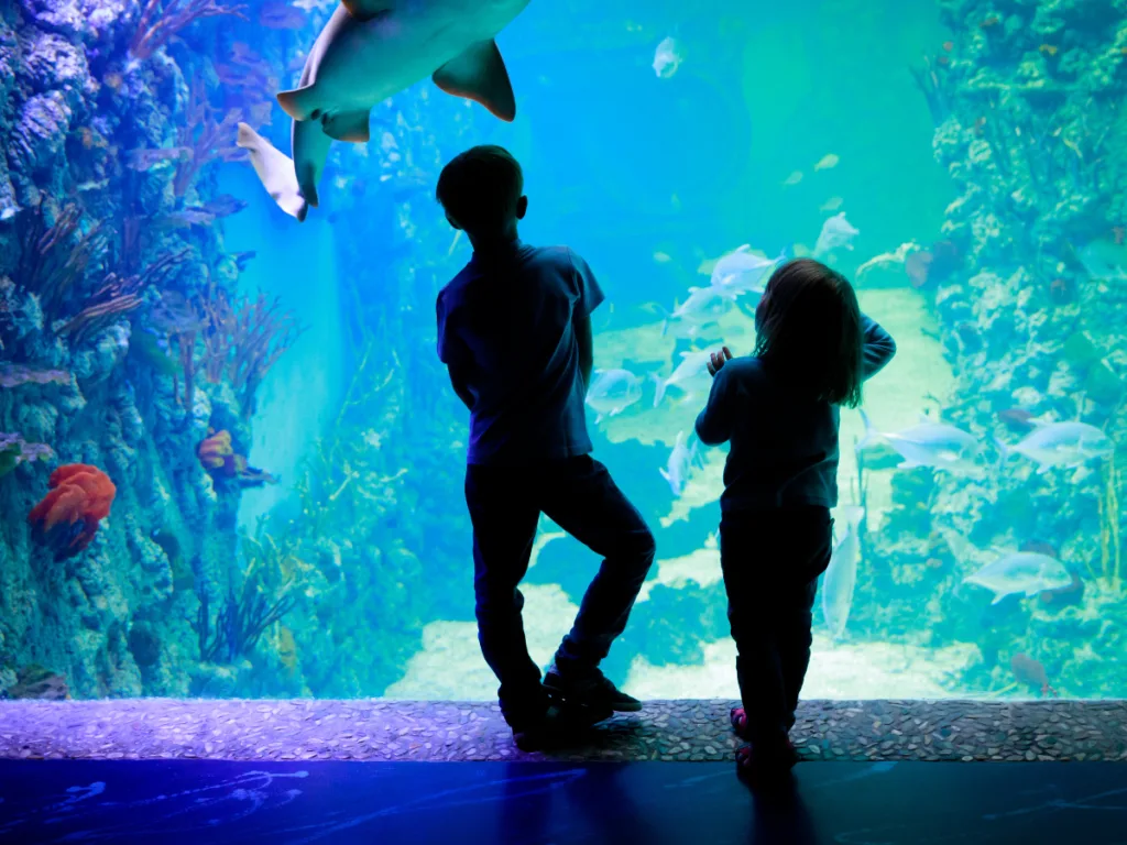 Top 10 Things to Do in Atlanta With Kids