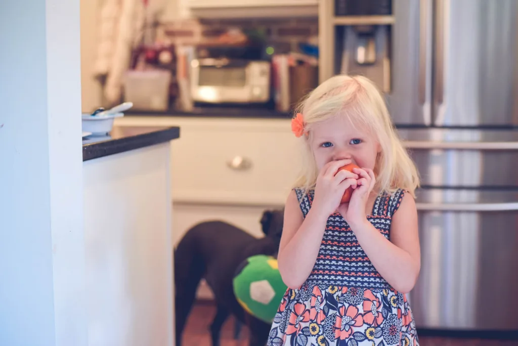Nutrition nourishes neural connections
