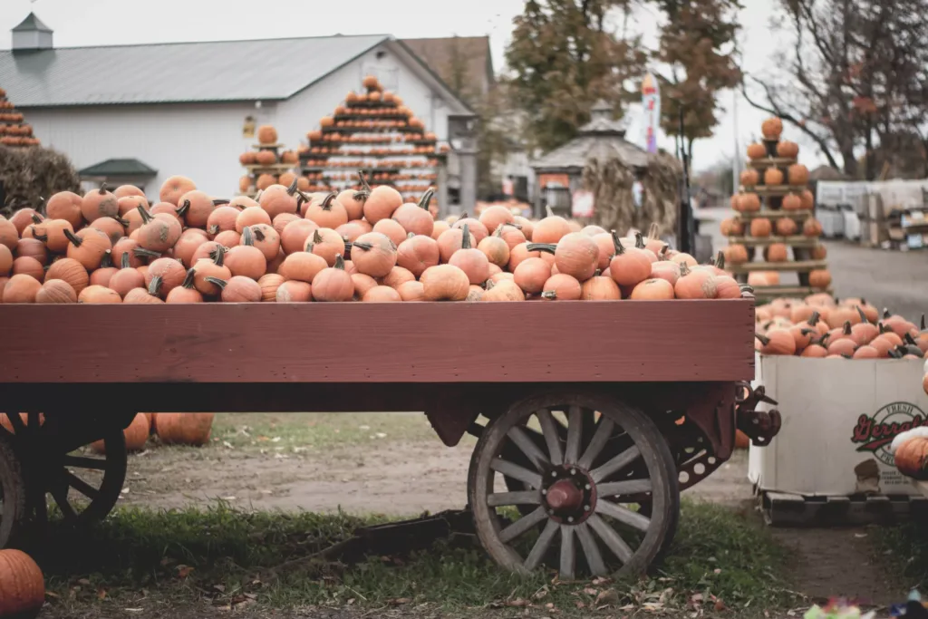 Fall-themed Community Events to Host at Your Church